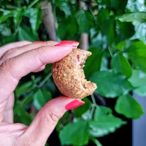 Gulrotkakekuler – sunn snacks til hverdagskos – ferdig anrettet