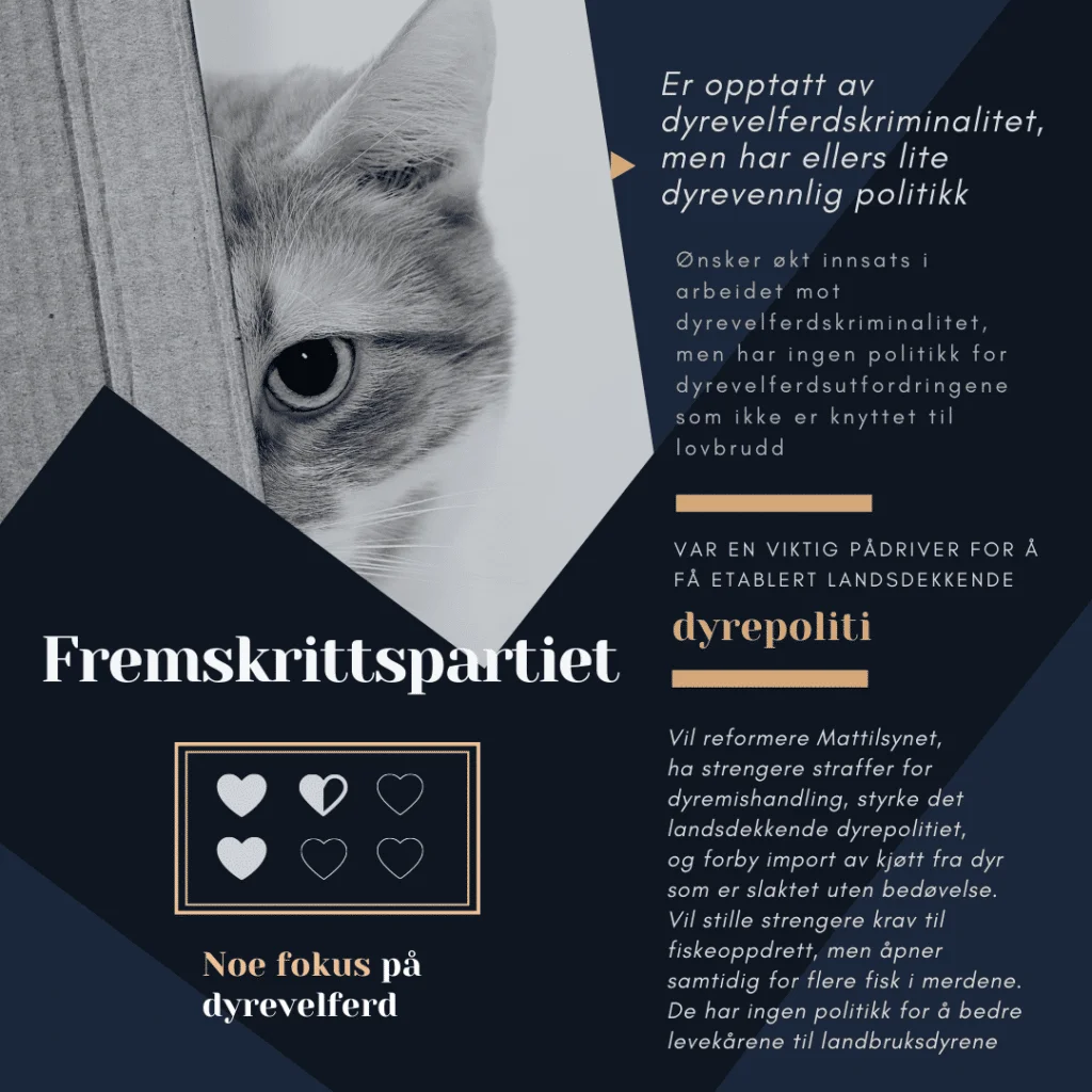 Valg 2021: Hvilke partier er mest dyrevennlige? – ferdig anrettet