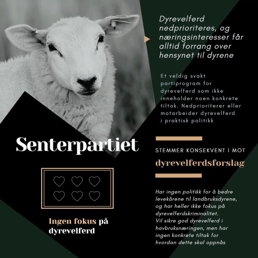 Valg 2021: Hvilke partier er mest dyrevennlige?