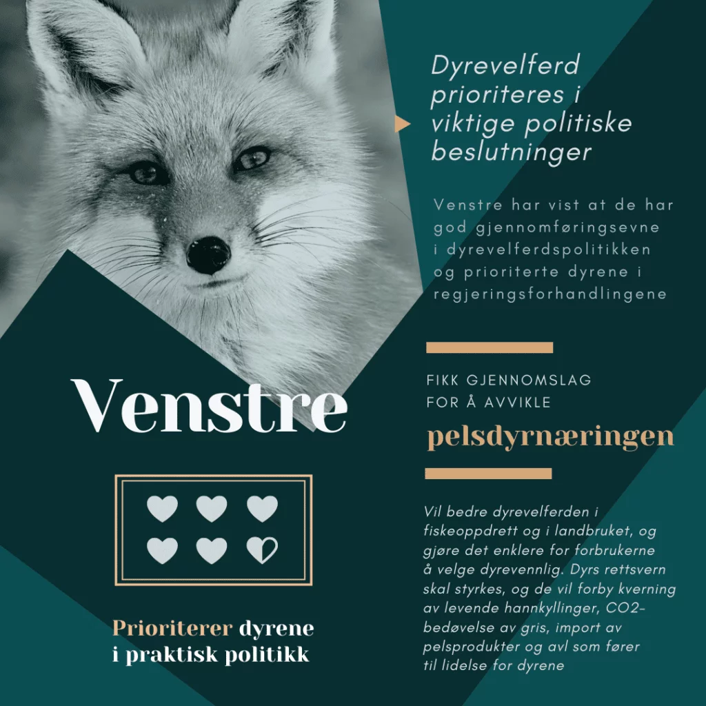 Valg 2021: Hvilke partier er mest dyrevennlige? – ingredienser