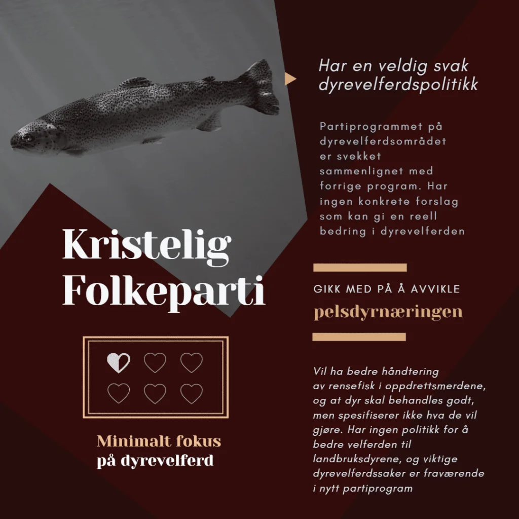 Valg 2021: Hvilke partier er mest dyrevennlige? – valg 2021 krf bruke